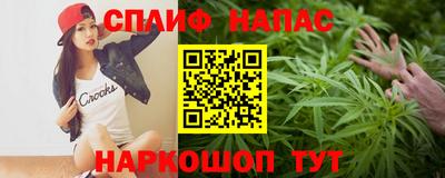 стаф Пенза