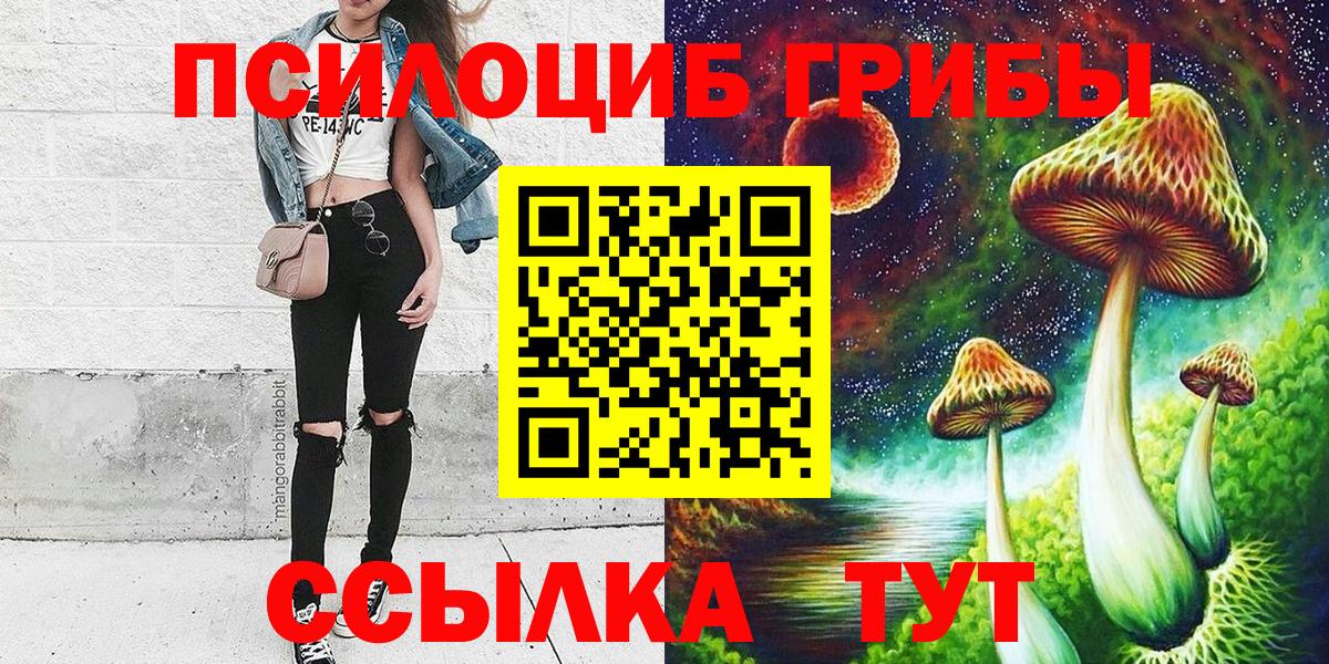 Галлюциногенные грибы Psilocybe  Вход с VPN  Саров 