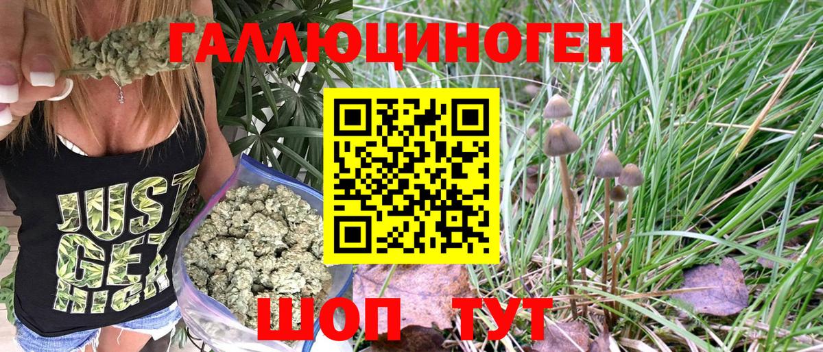 Псилоцибиновые грибы MAGIC MUSHROOMS Саров